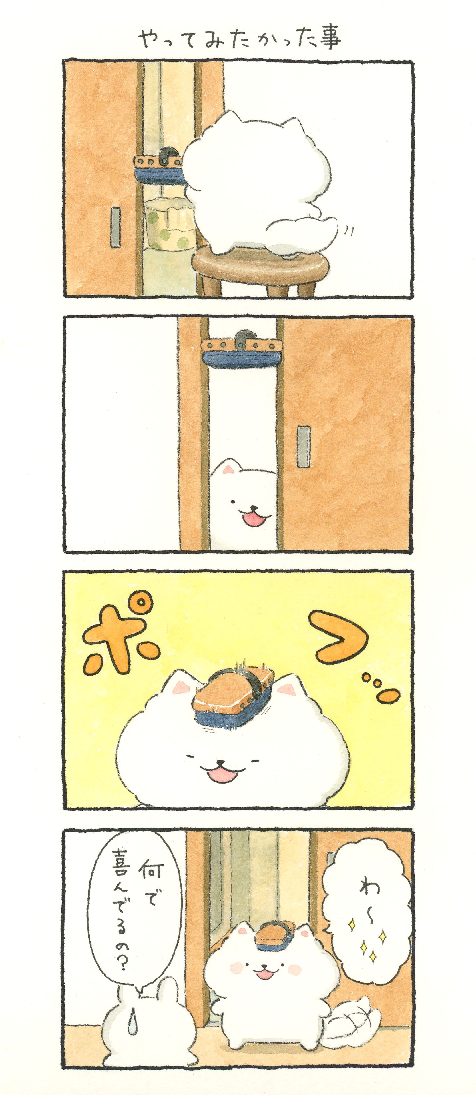 漫画｜ほのぼの犬ぽんちゃん_241020 - プラメポータル